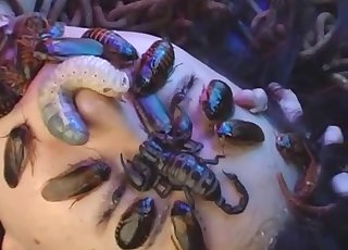 JAV zoo sex with maggots and roaches