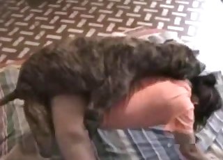 Acts of raw bestiality spliced together