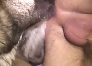 Dude is obsessed with anal sex