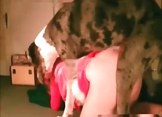 Spotted doggy drilled her tight cunt