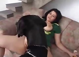 Dog eating the tasty pussy of a Latina