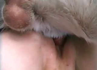 Sexy white animal fucked her wet cunt