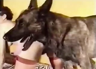 Dog takes a part in amazing bestiality XXX