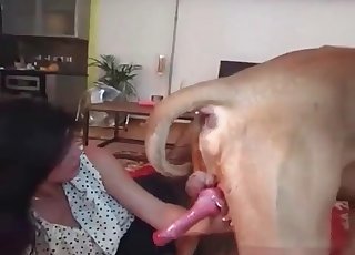 Amazing MILF is sucking a massive meaty boner