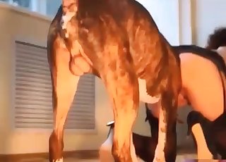Playful trained beast licks her tight wet cunt