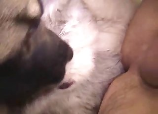 Sweet anal sex action with my doggy