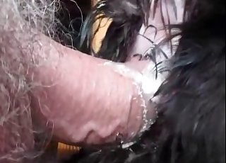 Doggy is getting an amazing anal (中出)creampie by a male zoophile - 馬獣姦ポルノ 