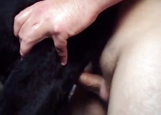 Cute small doggy fucked from behind