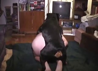 Doggy style fuck with a passionate dog