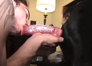 Filthy guy sucking his animal with passion
