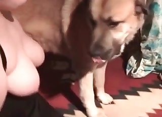 Two fat girls fucked by a mongrel