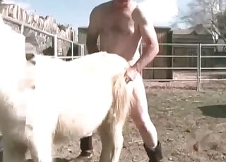 Stallion gets its ass fingered