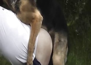 Dude lets this dog fuck his asshole