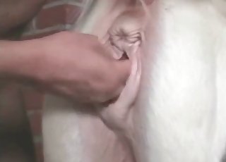 Sticking his cock deep inside of that pussy
