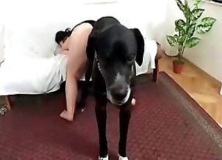 Hairy pussy slut is obsessed with dog cocks