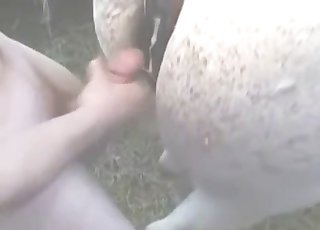 Magnificent sex with a kinky white mare