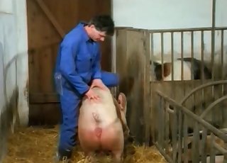 Schwein Videos / Pferd Bestiality Porn / Beliebteste Seite 1