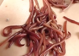 Skinny Asian zoofil is playing with worms