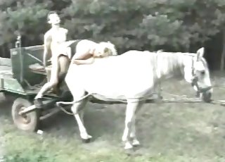 Gorgeous couple fucking on a sexy white horse