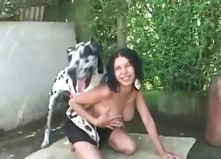 Dalmatian in awesome amateur bestiality