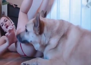 Stunning doggy licking her snatch so sweet