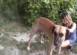 Dress-wearing babe stalking a dog