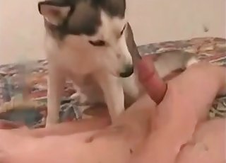 Playing around with dog's hot cunt