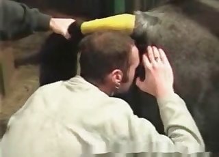 Extreme bestiality in a barn