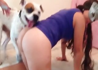Trained animals fucking a hot pervert