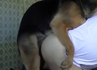 Trained shepherd fucked a big bottom