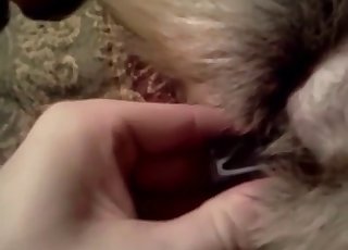 Latex, lust, and unhinged bestiality