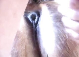 Intense fucking with a twisted animal