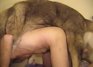 Really big dog fucks a horny male zoofil