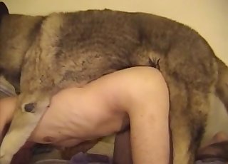 Really big dog fucks a horny male zoofil