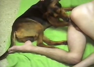 Doggy and zoofil lover in amazing animal sex porn