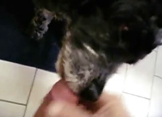 Fyren runker rasende i POV