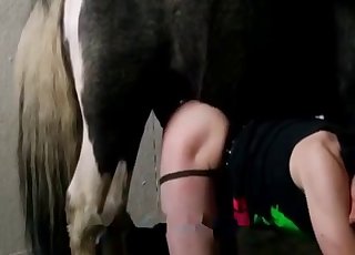 Horse cock is perfect for that hole