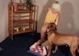Teasing this sexy brown dog on cam
