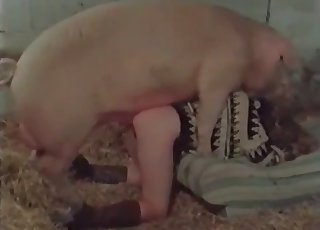 Good farm bestiality action with my wife