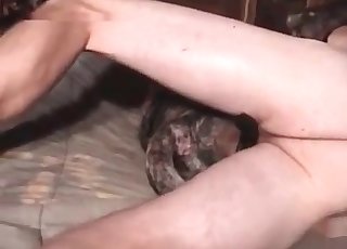Perfect amateur bestiality XXX with my dog
