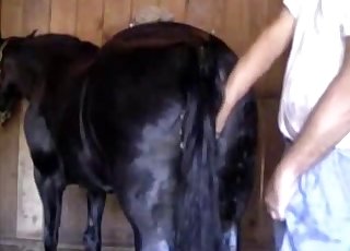 اس جانور کی مزیدار چوت کو بے نقاب کرنا