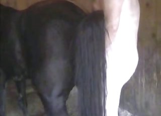 Avslører dette dyrets deilige fitte