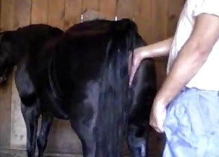 Die köstliche Muschi dieses Tieres wird enthüllt