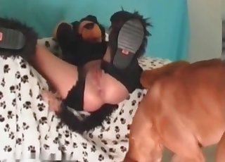 Sexy brown doggy in awesome bestiality XXX