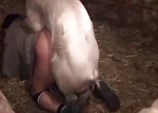 Domineering pig dominates his asshole