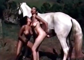 Muscled stallion and two big-boobed zoophiles