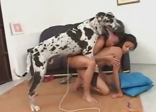 Dalmatian fucking two ladies
