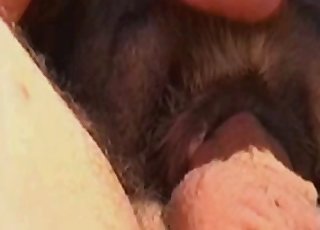 Hard male dick looks nice in animal anus