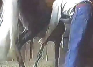 Bestiality video featuring a hung horse