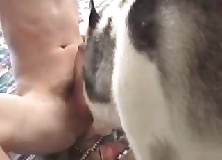 Extremely passionate sex with a mutt